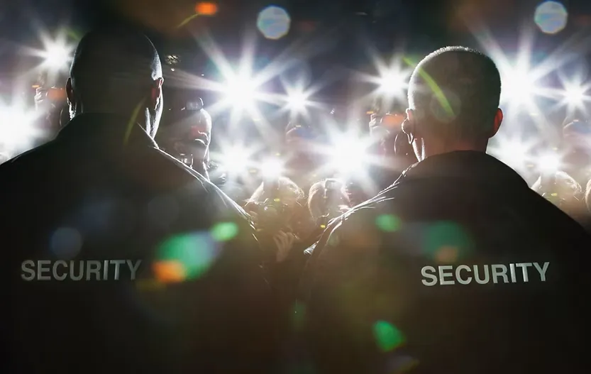 Event security team managing a crowd at a concert